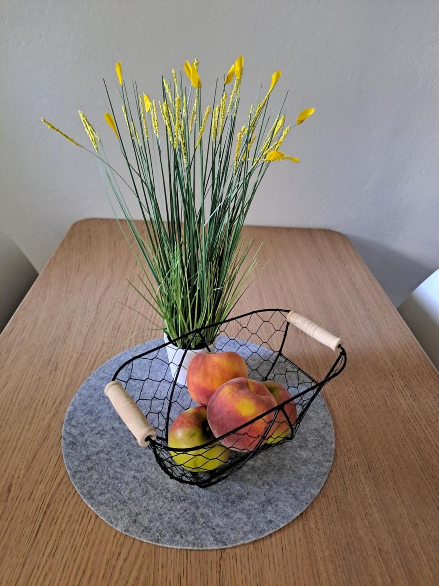Apartma Studio Jana Kranjska Gora Buitenkant foto